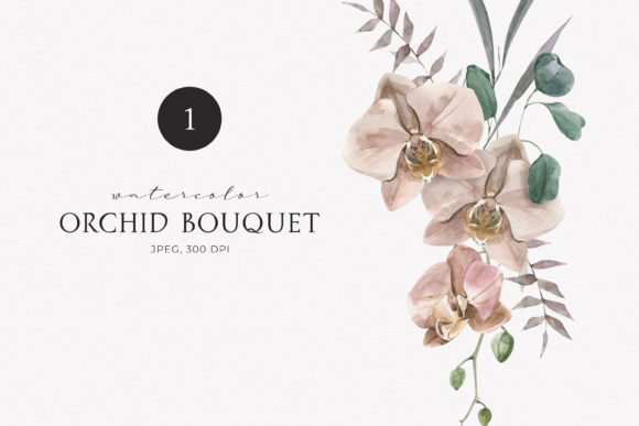 Download Watercolor Bohemian Orchid Bouquet - Premium Resources
